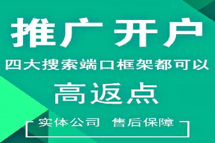 行业领先企业的SEM优化之路